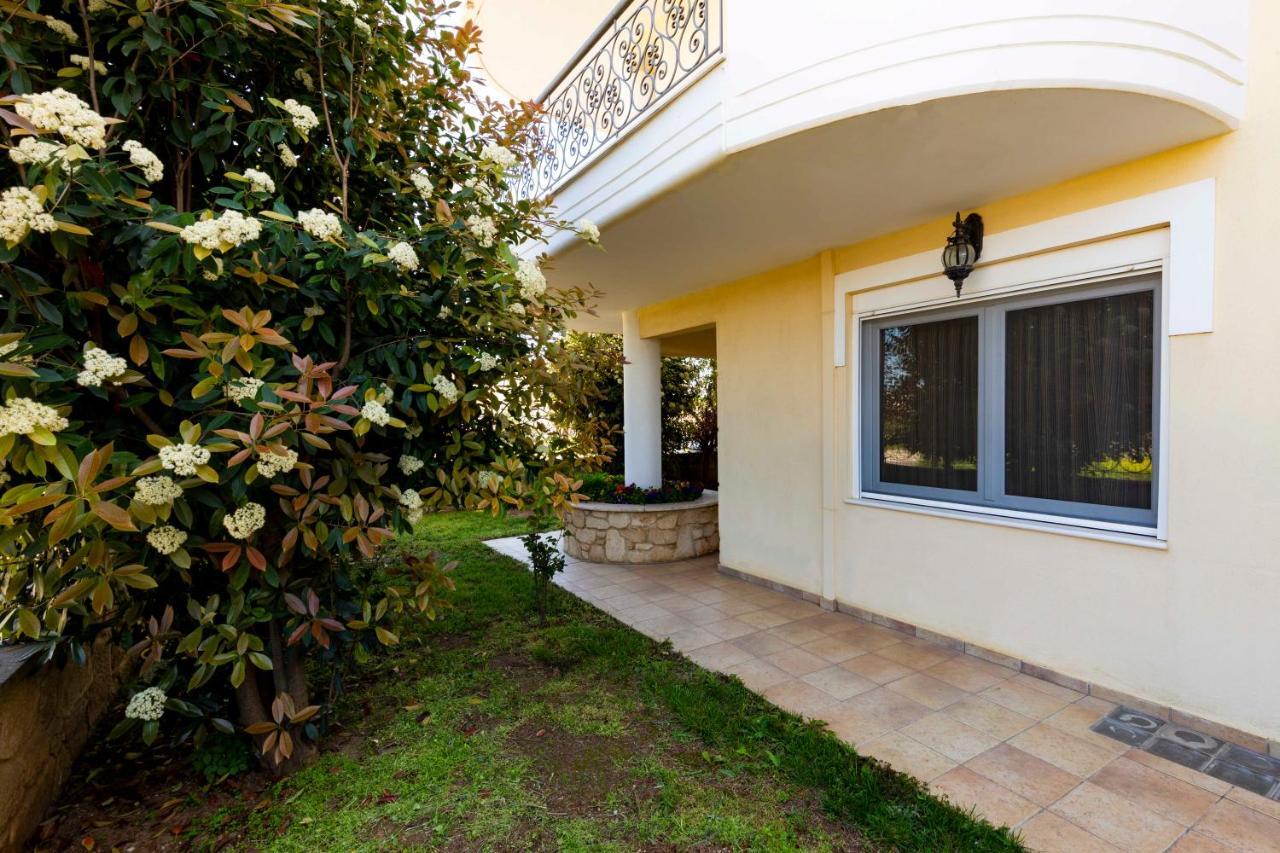 Elvis Nest Daire Nea Moudania Dış mekan fotoğraf